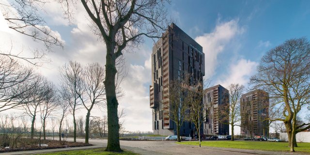 Drie hogen gebouwen genaamd "De scuplturen".